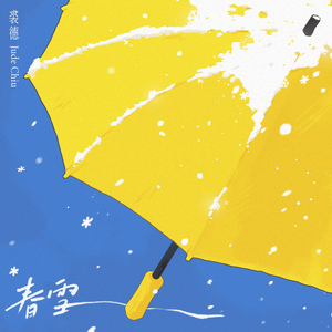 顺子日大婶小说最
