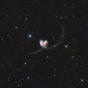 顺子日大婶小说最
